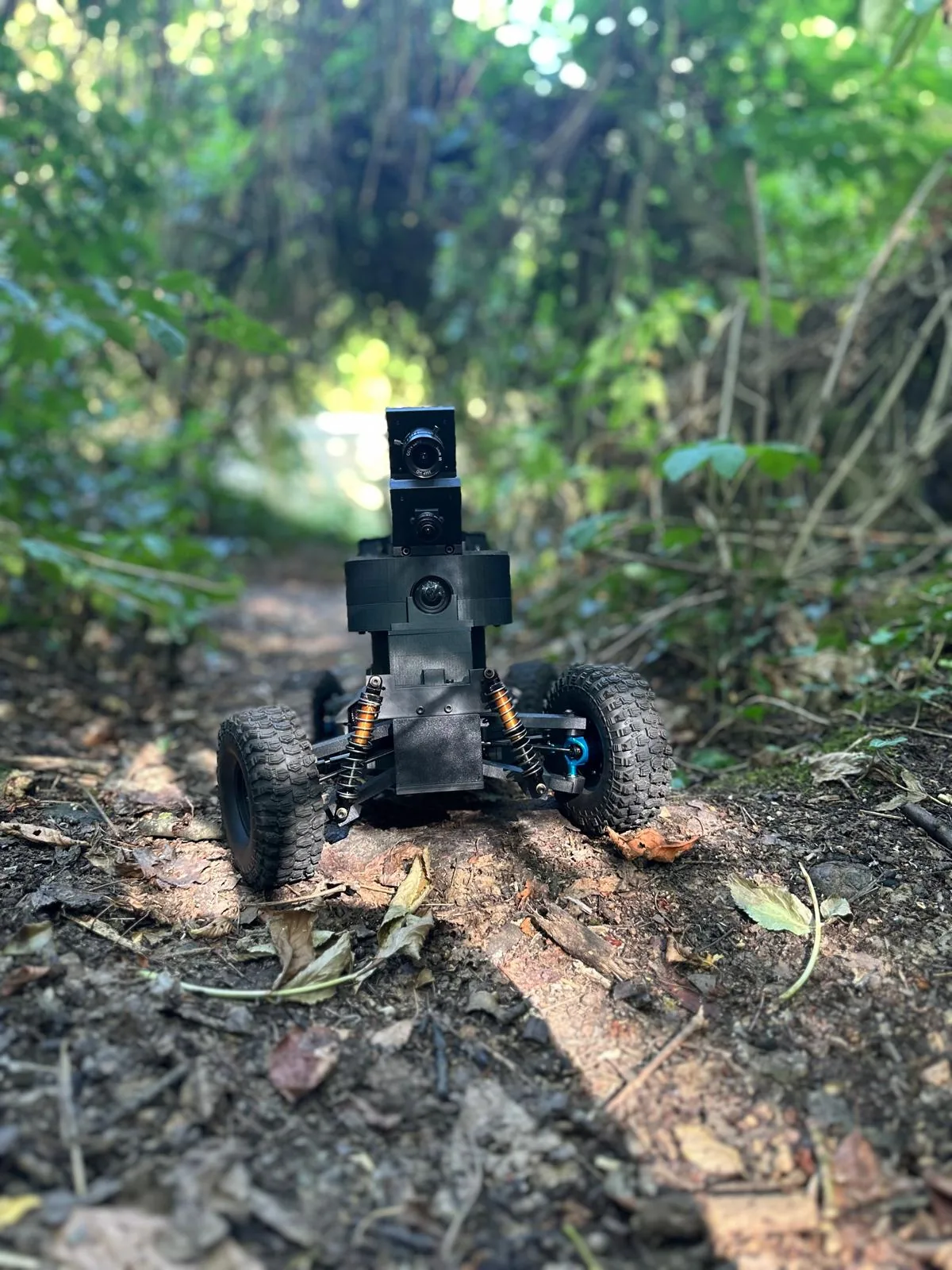 ARGUS von vorn auf einem schmalen Waldweg, umgeben von dichtem Grün