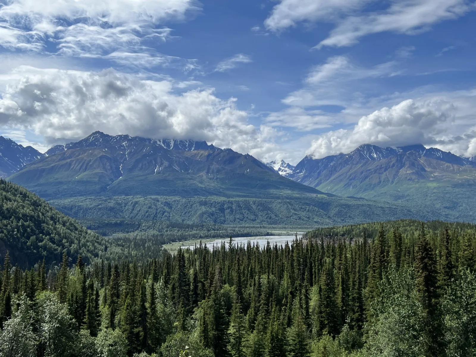Weiter Blick über einen dichten Wald, dahinter ein Flusstal und Berge unter hohem, hellem Himmel